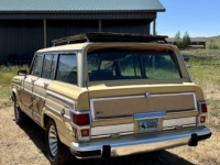 1981 Jeep Grand Wagoneer for sale in Michigan (ID-143552)