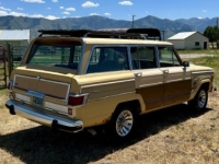 1981 Jeep Grand Wagoneer for sale in Michigan (ID-143552)