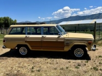 1981 Jeep Grand Wagoneer for sale in Michigan (ID-143552)