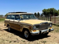 1981 Jeep Grand Wagoneer for sale in Michigan (ID-143552)