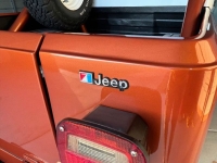 1981 Jeep Scrambler for sale in Michigan (ID-162581)