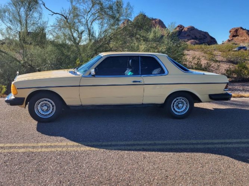 1981 Mercedes-Benz 300CD for sale in Michigan (ID-110393)