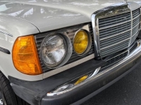 1981 Mercedes-Benz 300D for sale in Michigan (ID-155158)