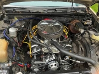 1981 Oldsmobile Cutlass for sale in Michigan (ID-121573)