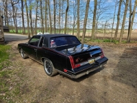 1981 Oldsmobile Cutlass for sale in Michigan (ID-128198)
