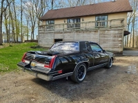 1981 Oldsmobile Cutlass for sale in Michigan (ID-128198)