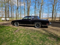1981 Oldsmobile Cutlass for sale in Michigan (ID-128198)