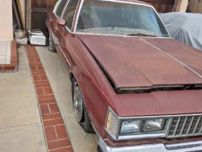 1981 Oldsmobile Cutlass for sale