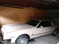 1981 Oldsmobile Toronado for sale in Michigan (ID-140204)