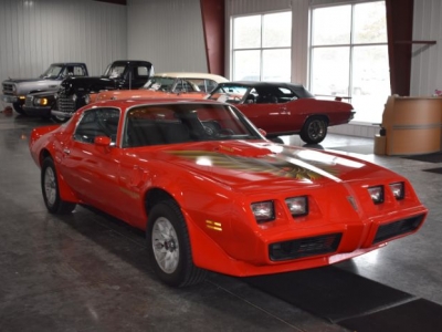 1981 Pontiac Firebird for sale