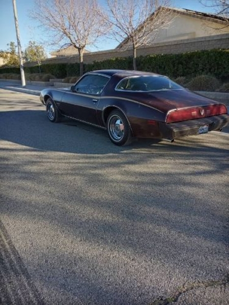 1981 Pontiac Firebird for sale in Michigan (ID-100964) 1981 Pontiac Firebird for sale in Michigan (ID-100964)