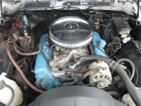 1981 Pontiac Firebird for sale in Michigan (ID-102568)