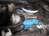 1981 Pontiac Firebird for sale in Michigan (ID-102568)