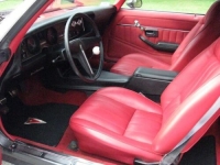 1981 Pontiac Firebird for sale in Michigan (ID-102568)