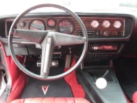 1981 Pontiac Firebird for sale in Michigan (ID-102568)