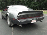 1981 Pontiac Firebird for sale in Michigan (ID-102568)