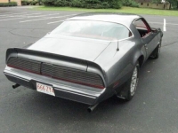 1981 Pontiac Firebird for sale in Michigan (ID-102568)