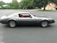 1981 Pontiac Firebird for sale in Michigan (ID-102568)