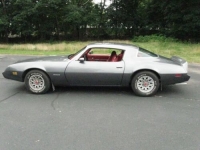 1981 Pontiac Firebird for sale in Michigan (ID-102568)