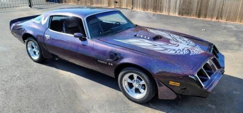 1981 Pontiac Firebird for sale in Michigan (ID-106313)