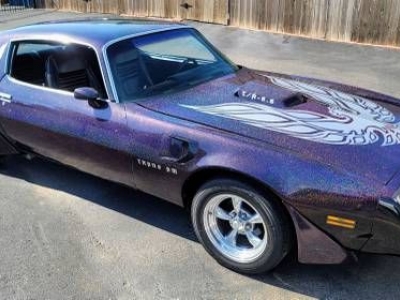 1981 Pontiac Firebird for sale