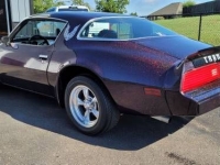 1981 Pontiac Firebird for sale in Michigan (ID-106313)