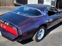 1981 Pontiac Firebird for sale in Michigan (ID-106313)