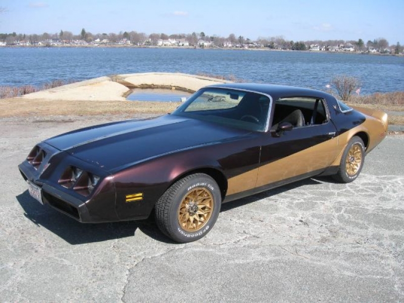 1981 Pontiac Firebird for sale in Michigan (ID-116056)