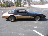 1981 Pontiac Firebird for sale in Michigan (ID-116056)