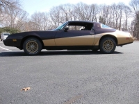 1981 Pontiac Firebird for sale in Michigan (ID-116056)