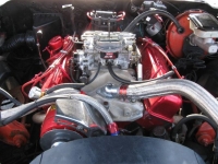 1981 Pontiac Firebird for sale in Michigan (ID-116056)