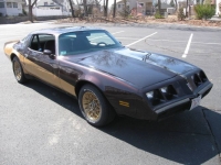 1981 Pontiac Firebird for sale in Michigan (ID-116056)