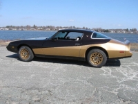 1981 Pontiac Firebird for sale in Michigan (ID-116056)
