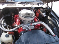 1981 Pontiac Firebird for sale in Michigan (ID-116056)
