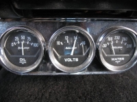 1981 Pontiac Firebird for sale in Michigan (ID-116056)