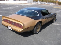 1981 Pontiac Firebird for sale in Michigan (ID-116056)