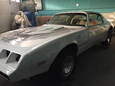 1981 Pontiac Firebird for sale 1981 Pontiac Firebird for sale