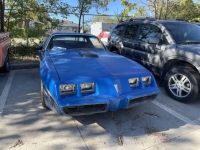 1981 Pontiac Firebird for sale in Michigan (ID-120409)