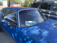 1981 Pontiac Firebird for sale in Michigan (ID-120409)