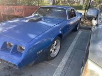 1981 Pontiac Firebird for sale in Michigan (ID-120409)