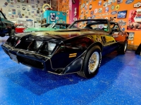 1981 Pontiac Firebird for sale in Michigan (ID-128179)