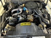 1981 Pontiac Firebird for sale in Riverhead, New York (ID-133289)