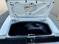 1981 Pontiac Firebird for sale in Riverhead, New York (ID-133289)