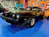 1981 Pontiac Firebird for sale in Michigan (ID-141334)