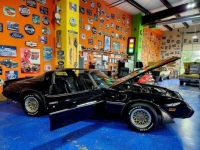 1981 Pontiac Firebird for sale in Michigan (ID-141334)