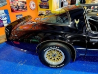 1981 Pontiac Firebird for sale in Michigan (ID-141334)
