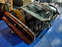 1981 Pontiac Firebird for sale in Michigan (ID-141334)