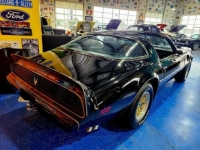 1981 Pontiac Firebird for sale in Michigan (ID-141334)