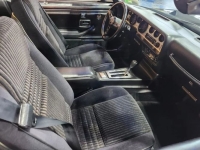 1981 Pontiac Firebird for sale in Michigan (ID-141334)