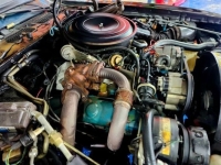 1981 Pontiac Firebird for sale in Michigan (ID-141334)